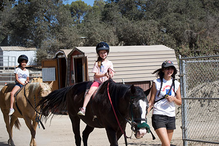 Horseback Riding Camps